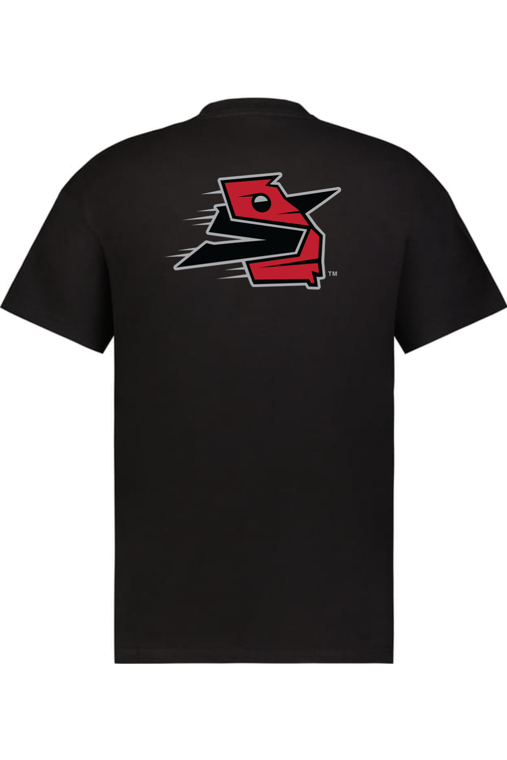 Georgia Sliders - Holloway Sidney Heavyweight Oversize Tee (Front & Back Print)