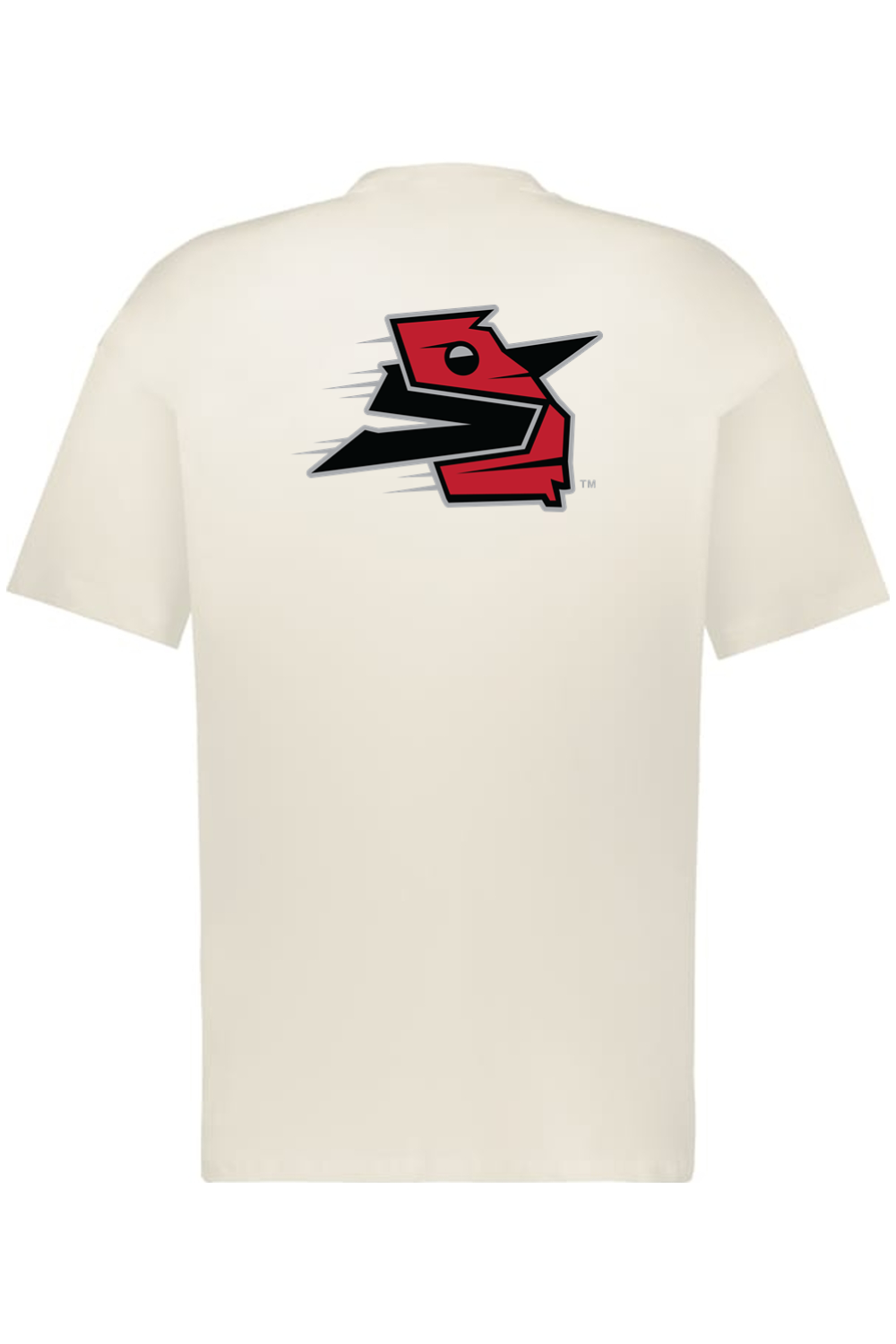 Georgia Sliders - Holloway Sidney Heavyweight Oversize Tee (Front & Back Print)