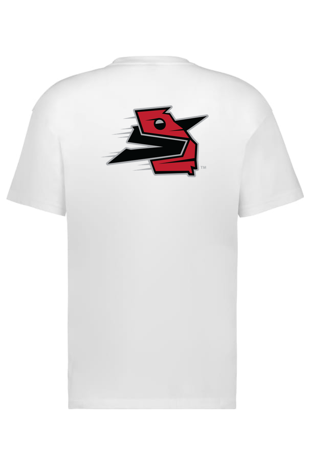 Georgia Sliders - Holloway Sidney Heavyweight Oversize Tee (Front & Back Print)