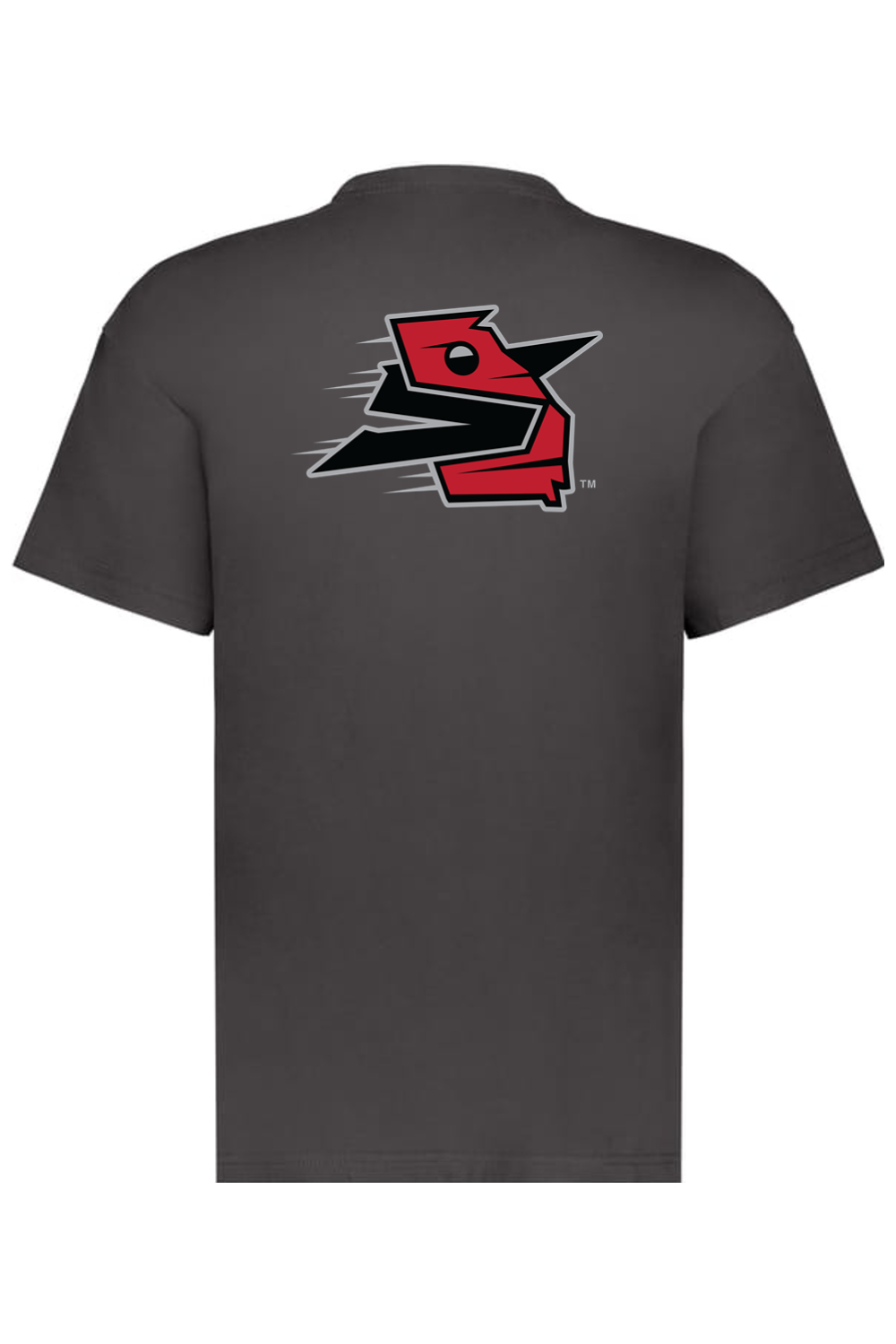 Georgia Sliders - Holloway Sidney Heavyweight Oversize Tee (Front & Back Print)