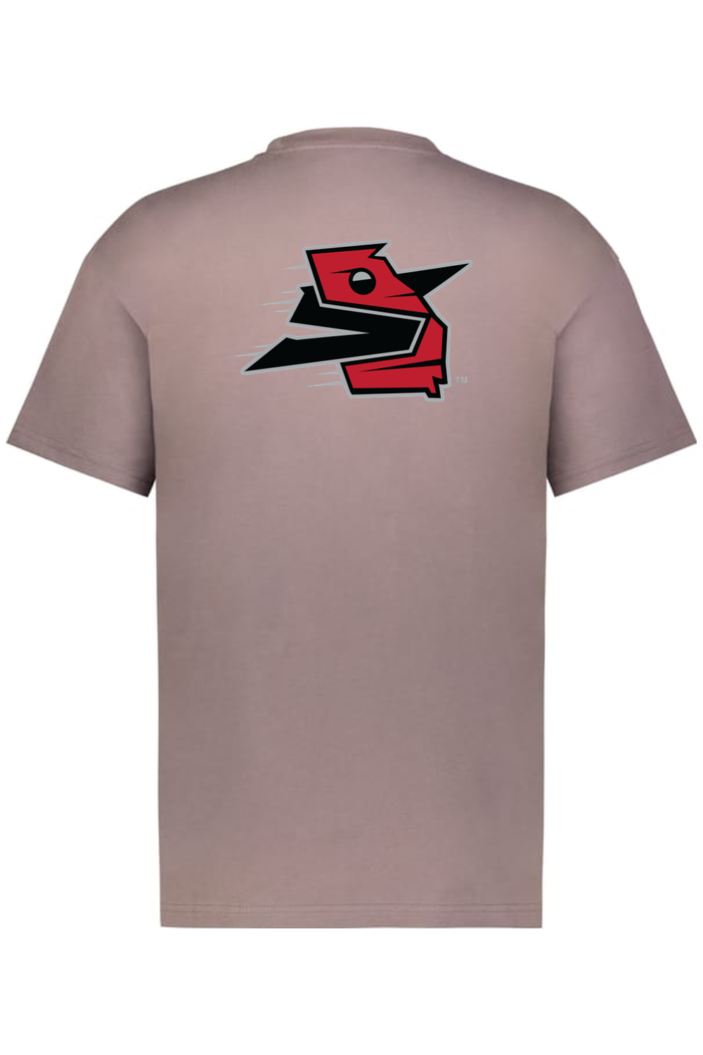 Georgia Sliders - Holloway Sidney Heavyweight Oversize Tee (Front & Back Print)